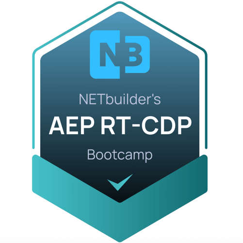 NETbuilder-RT-CDP-Training NETbuilder-RT-CDP-Training