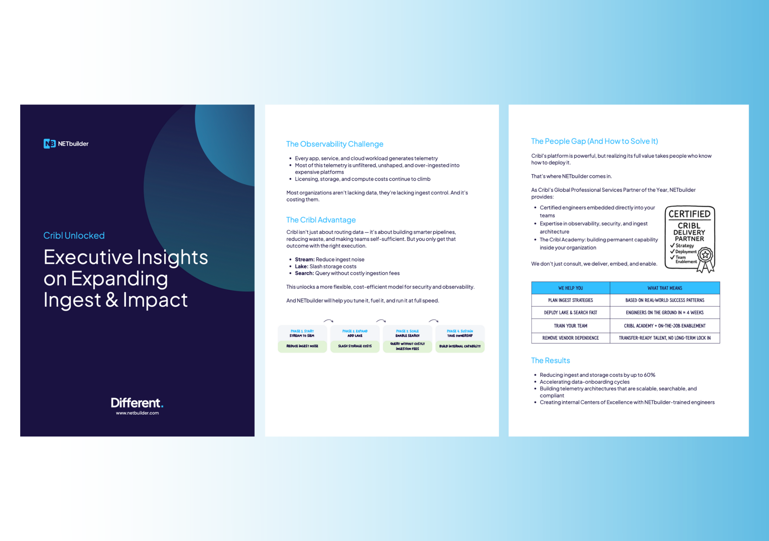 Pages from NETbuilder's Executive Insights on Expanding Ingest & Impact briefing